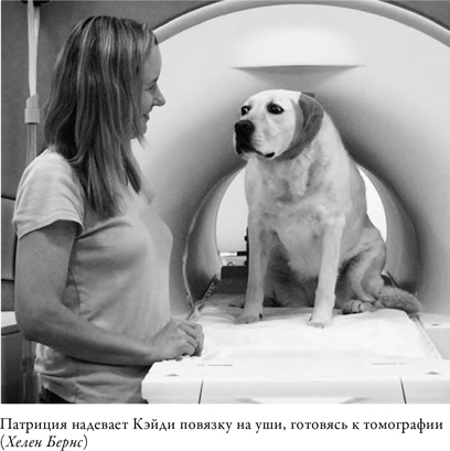 Что значит быть собакой. И другие открытия в области нейробиологии животных Что значит быть собакой. И другие открытия в области нейробиологии животных