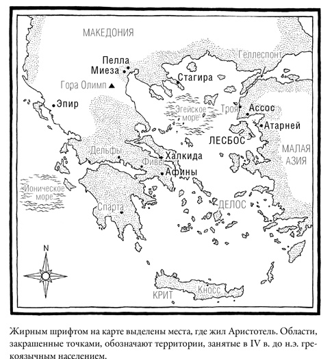 Счастье по Аристотелю Счастье по Аристотелю