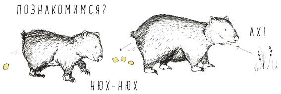 Может ли жираф облизать свои уши? Может ли жираф облизать свои уши?