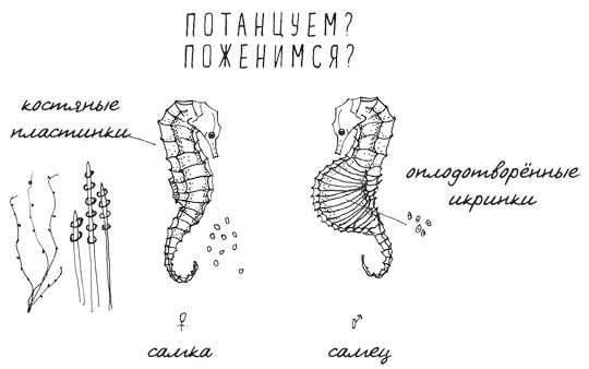 Может ли жираф облизать свои уши? Может ли жираф облизать свои уши?