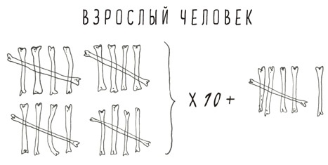 Может ли жираф облизать свои уши? Может ли жираф облизать свои уши?