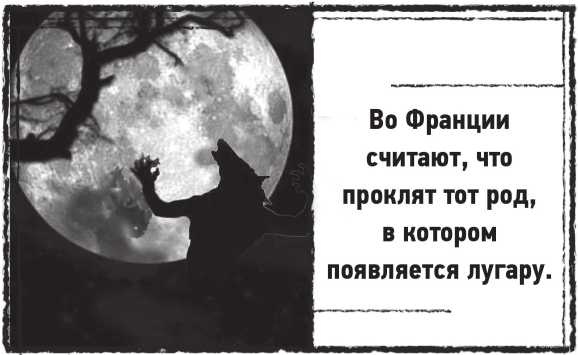Лугару Лугару
