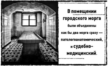 Тень «Райского сада» Тень «Райского сада»