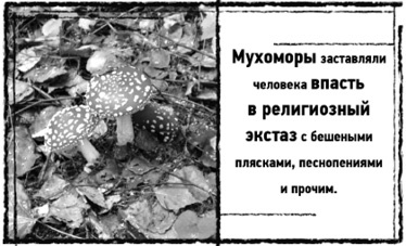 Тень «Райского сада» Тень «Райского сада»