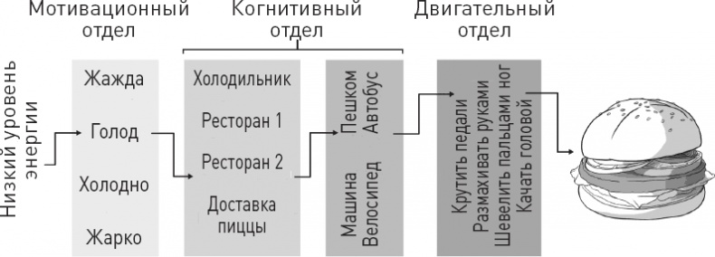 Голодный мозг. Как перехитрить инстинкты, которые заставляют нас переедать Голодный мозг. Как перехитрить инстинкты, которые заставляют нас переедать