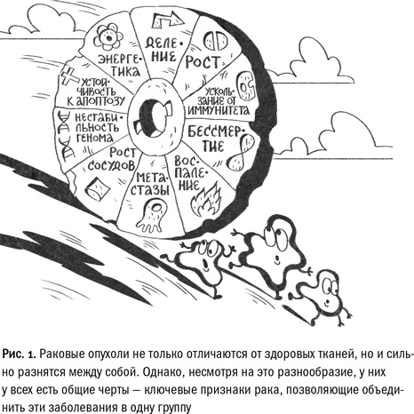 Кривое зеркало жизни. Главные мифы о раке, и что современная наука думает о них Кривое зеркало жизни. Главные мифы о раке, и что современная наука думает о них