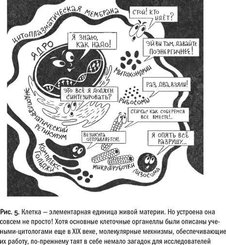 Кривое зеркало жизни. Главные мифы о раке, и что современная наука думает о них Кривое зеркало жизни. Главные мифы о раке, и что современная наука думает о них