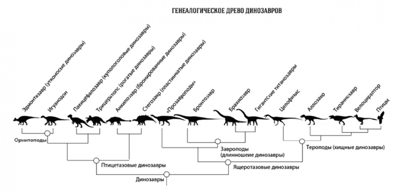 Время динозавров. Новая история древних ящеров Время динозавров. Новая история древних ящеров