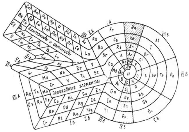 Человек 2050 Человек 2050