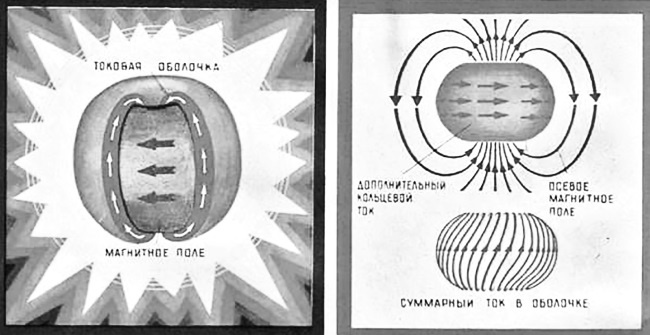 Человек 2050 Человек 2050