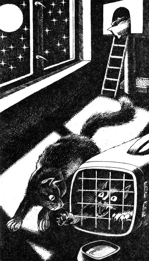 Месть Звёздного Луча. Воссоединение Месть Звёздного Луча. Воссоединение
