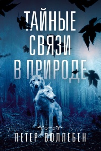 Тайные связи в природе - Петер Вольлебен - Читать книги онлайн | Слушать аудиокниги онлайн | Электронная библиотека books-lib.com