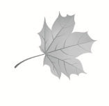 Тайные связи в природе Тайные связи в природе