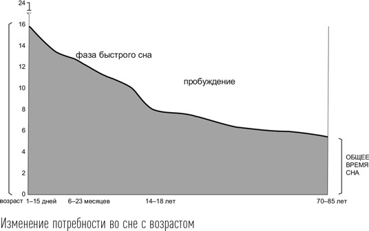 Загадки сна Загадки сна