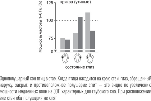Загадки сна Загадки сна