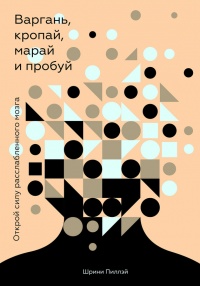 Варгань, кропай, марай и пробуй - Шрини Пиллэй - Читать книги онлайн | Слушать аудиокниги онлайн | Электронная библиотека books-lib.com