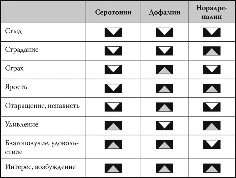 Мозг. Инструкция пользователя Мозг. Инструкция пользователя