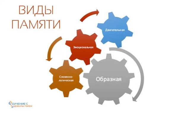 Техники эффективного обучения от А до Я. Энциклопедия для родителей Техники эффективного обучения от А до Я. Энциклопедия для родителей