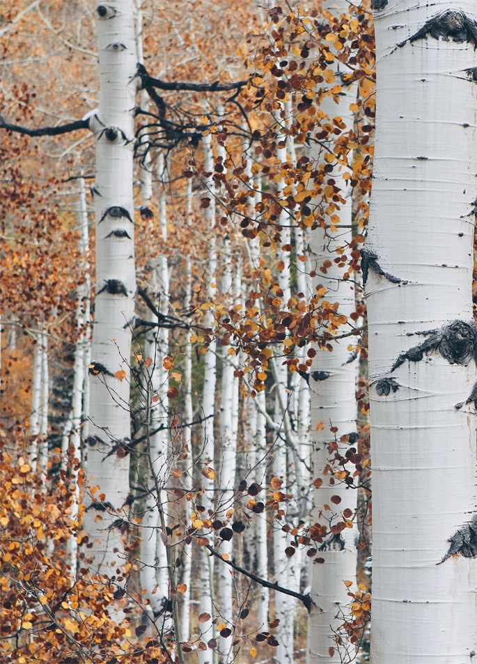 Что такое лагом (Шведские рецепты счастливой жизни) Что такое лагом (Шведские рецепты счастливой жизни)
