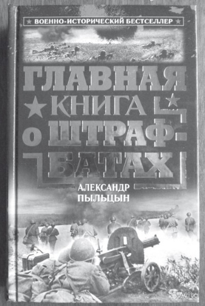 Штрафбат. Наказание, искупление (Военно-историческая быль) Штрафбат. Наказание, искупление (Военно-историческая быль)