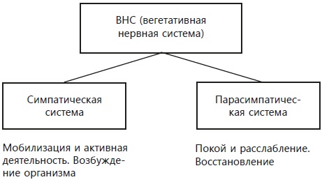 Навязчивые мысли, страхи и ВСД. Как вернуть полноценную жизнь Навязчивые мысли, страхи и ВСД. Как вернуть полноценную жизнь