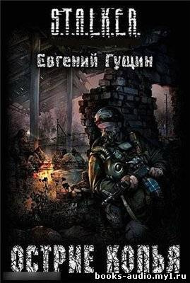 Гущин Евгений - S.T.A.L.K.E.R. Острие копья - Читать книги онлайн | Слушать аудиокниги онлайн | Электронная библиотека books-lib.com