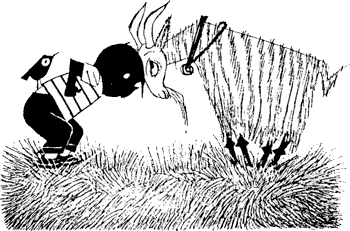 Саша и Маша - 1 Саша и Маша - 1