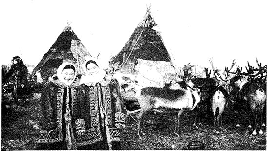 Покорение Сибири: Мифы и реальность Покорение Сибири: Мифы и реальность