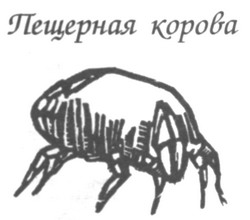 Глубже Глубже