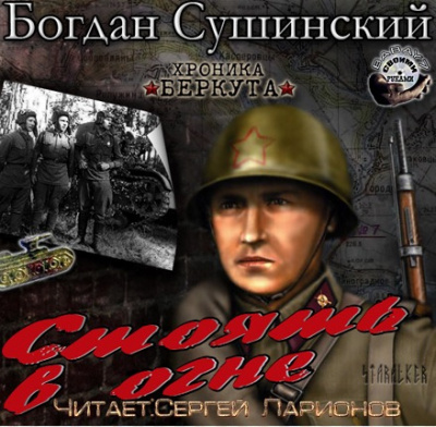Сушинский Богдан - Стоять в огне - Читать книги онлайн | Слушать аудиокниги онлайн | Электронная библиотека books-lib.com